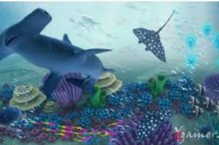 ayx入口2024最新版